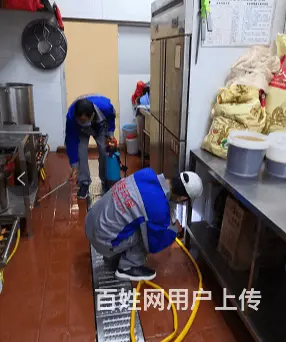 商丘市灭蟑螂电话 - 图片 1