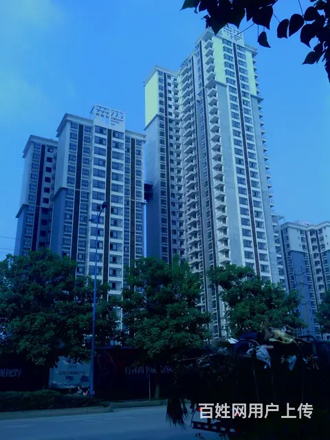 东门好房低价出租 - 图片 6
