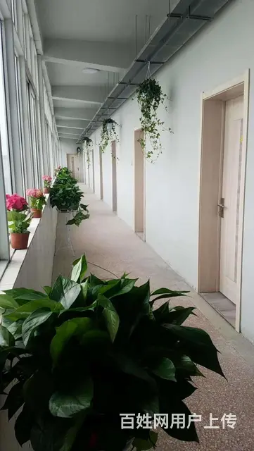 吾悦华府，吾悦广场对过，精装修家具家电齐全拎包即住随时看。 - 图片 1