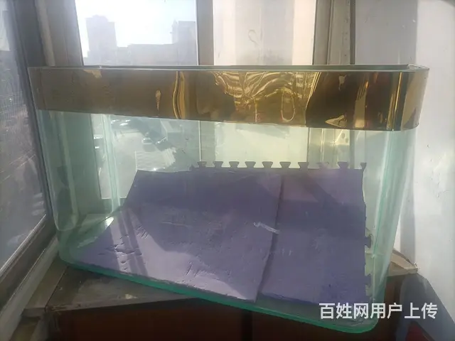 鱼缸 - 图片 3