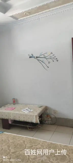 河务局东院 普通住宅2厅 中等装修 - 图片 4