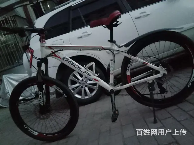 【搞定了！】宝来山地自行车 - 图片 1