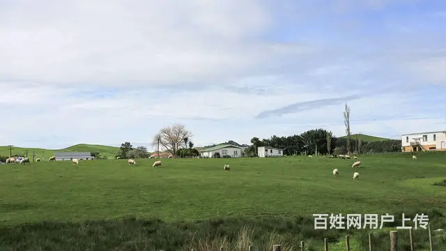 出国劳务出国打工普通人去香港可以做什么工作 - 图片 1