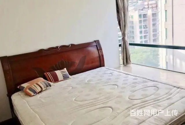 白天鹅花园二期 F栋 望花园 此情 美景 一眼万年 - 图片 8