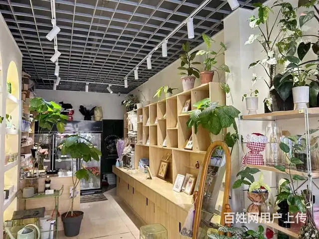 （兴铺）长虹国际城路口转角旺铺空转行业不限制 - 图片 3
