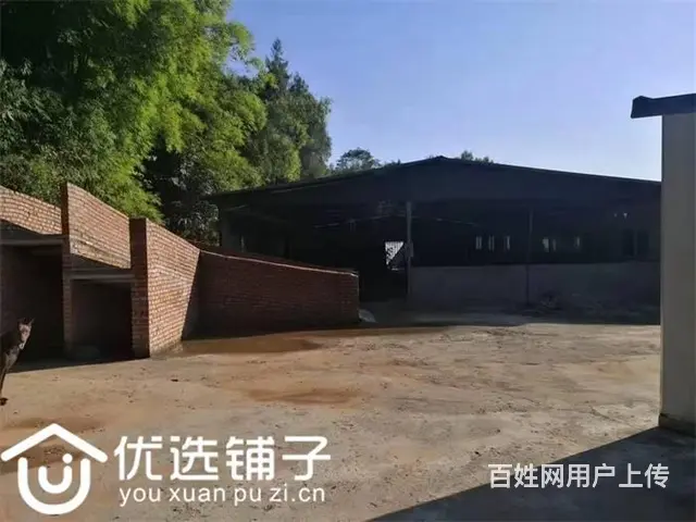 （优选铺子）巴州区曾口镇2200平养殖3万出租（可出售） - 图片 7