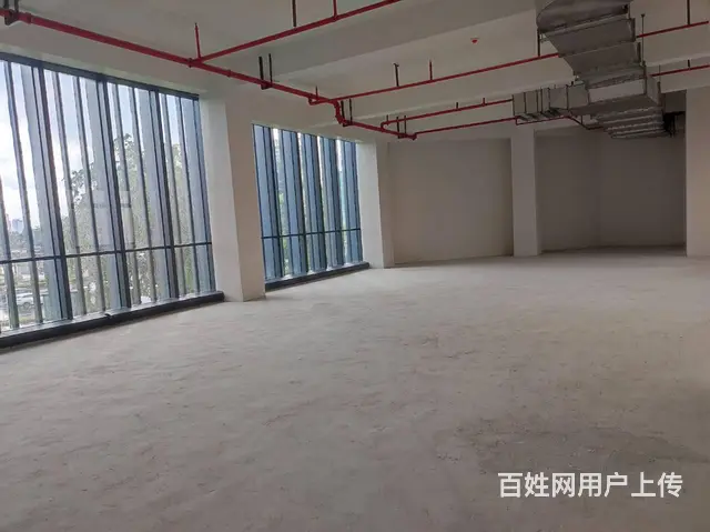 （51旺铺推荐）新大洲大道（雍江湾）585平招租 - 图片 5