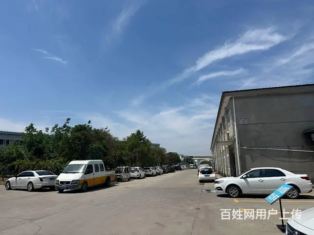 （城市在线找房免费）金山桥开发区桥南头附近标准厂房出租 - 图片 7