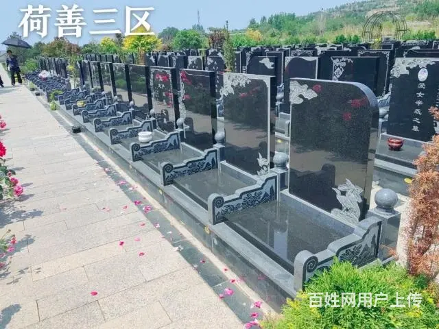 滕州善国陵园 正规经营性公墓 永久使用 - 图片 7