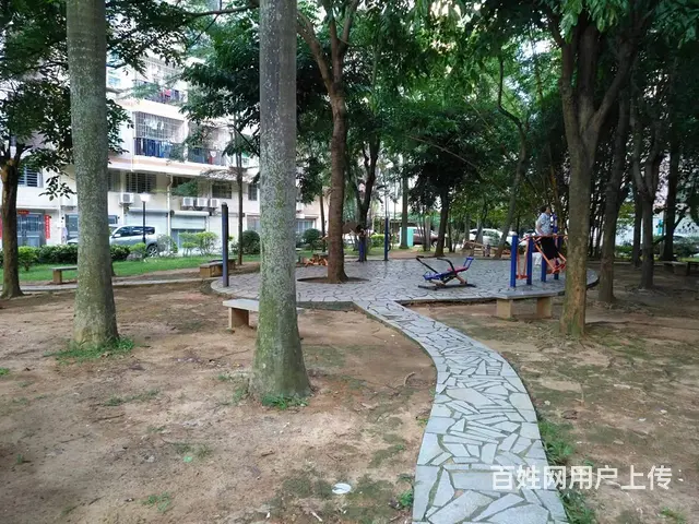 赤坎鑫紫荆花园3楼出租，拎包入住 - 图片 10