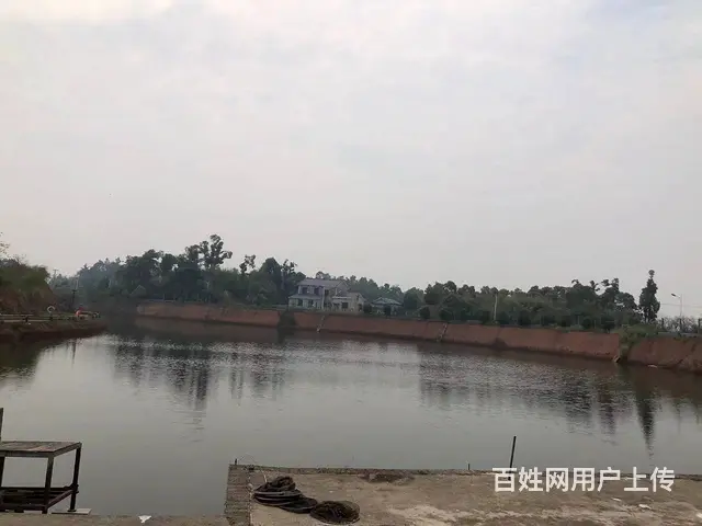 靖港古镇休闲旅游区旁50亩鱼塘➕10亩土地优价出租或合伙经营 - 图片 1