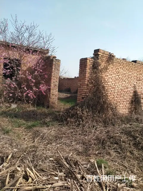 房地出租 - 图片 1