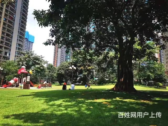 恒大二期，精装2房2厅1卫1阳82方家私电器齐全租1500元 - 图片 11