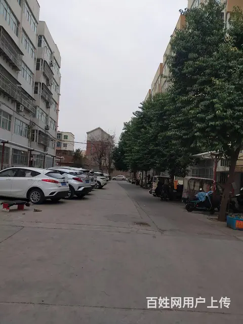 翠苑小区 - 图片 4