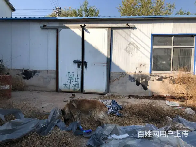 下河首村厂房 (临街，近豪德、钢材市场)，大院5间厂房整售卖 - 图片 2