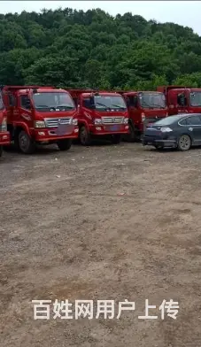急转各种各样自卸车 - 图片 6