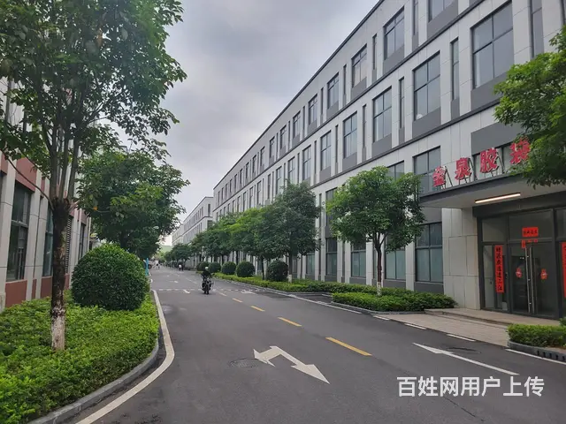 珠海唐家 五层独栋 2700到6000平 企业总部 独立产权 - 图片 6