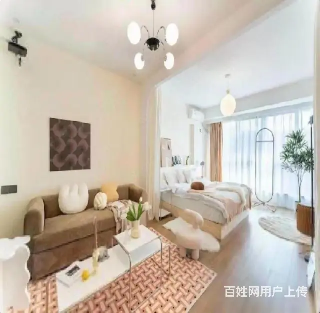 整租 旭辉广场  多套单身公寓 包物业网 长租 - 图片 6
