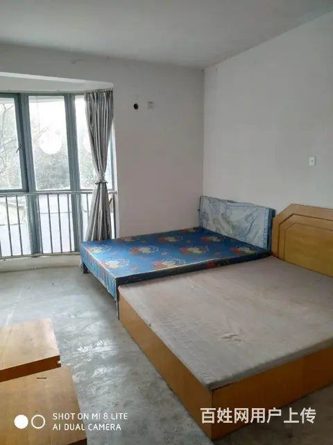 滨江明珠城，非底层，单价低，景观房，房东诚售，随时 - 图片 3