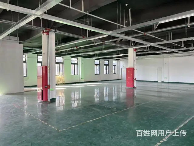 陆家原房东，一楼400平二楼400平，丙类消防，3吨货梯 - 图片 8