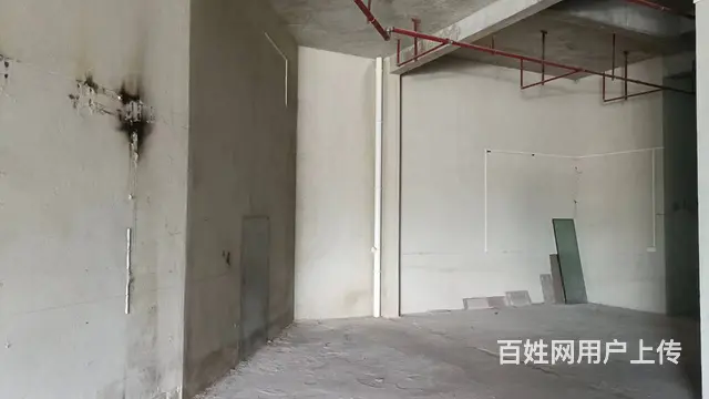 （51旺铺推荐）碧桂园中央首府临街旺铺118平招租 - 图片 9