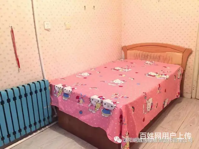 怀远门地铁A口旁文峰大厦旁 大西电子市场旁400元/月包网 - 图片 3
