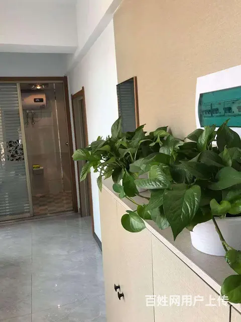 全款6.8万新柳城一室一厅精装修 - 图片 2