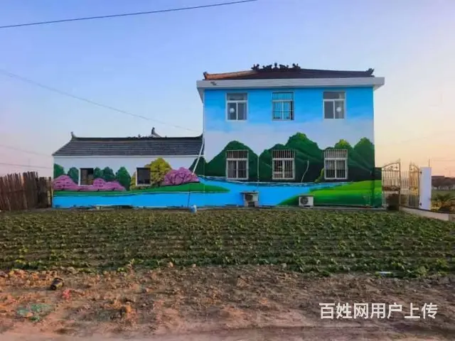 宁德墙体广告医美下乡的美丽承诺书 - 图片 3
