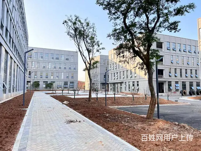 政府园区，整层1080平办公场地，入驻即享免租优惠 - 图片 7