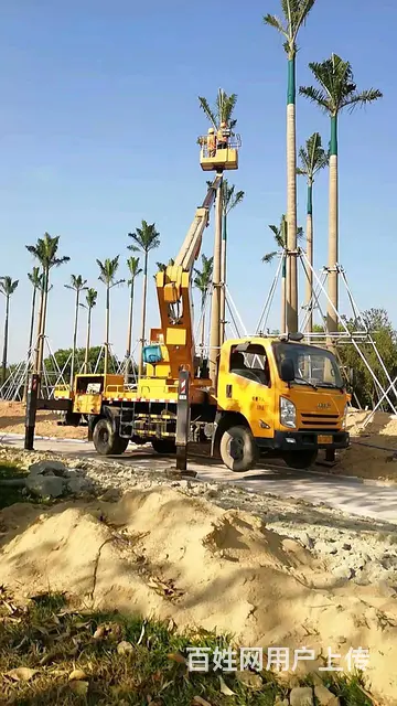 珠海横琴路灯车出租，横琴砍树车桥梁检测车云梯车租赁 - 图片 4