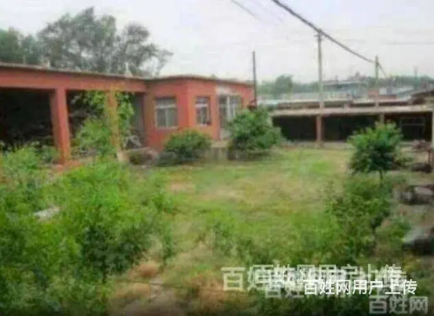 【搞定了！】尖山子道边310省道旁 大院儿低价出售（非中介） - 图片 7