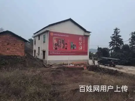 湛江墙体广告 衢州墙体喷字广告 来宾户外喷绘广告墙 - 图片 2