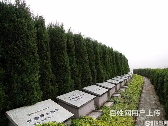 乌鲁木齐米泉市北郊公墓,土葬、火葬用地均有 - 图片 5