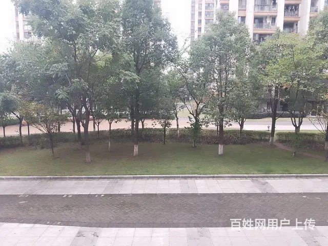 三室一厅一卫出租 - 图片 7