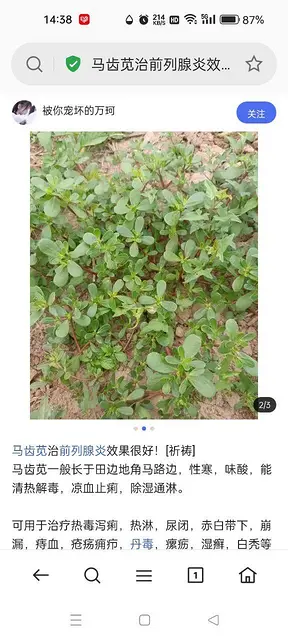 征婚 - 图片