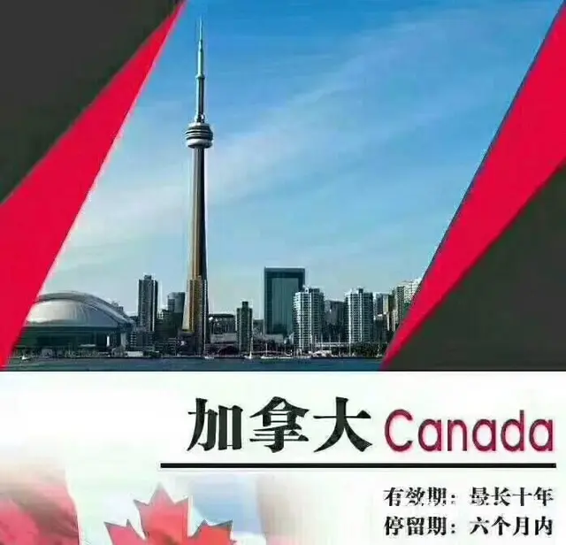 专业代办各国出国签证 出国签证办理 - 图片 2