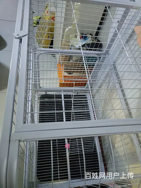 自家小型犬 猫别墅 1*1.2 几乎全新 质量好非 - 图片 2
