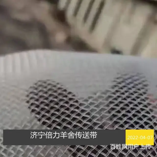 羊清粪传输带肉羊粪便输送带 - 图片