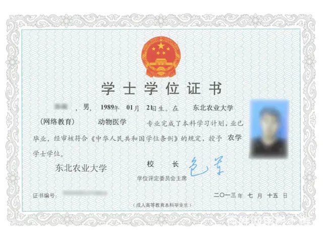 2022年春季网教、国开学历及学位提升沈阳报名中心 - 图片 3