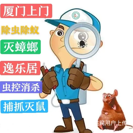 厦门逸乐居专业虫害消杀白蚁防治 - 图片