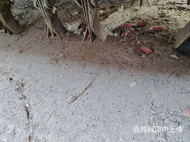 180-200秸秆还田机 - 图片 7