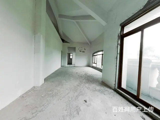 碧桂园假日半岛棕榈岛 8室4厅 南 - 图片 11