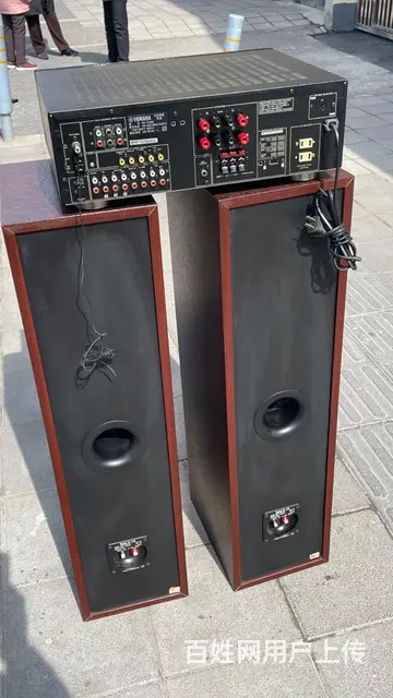转让一对丹麦原装进口至尊发烧音箱+马来西亚雅马哈功 - 图片 6
