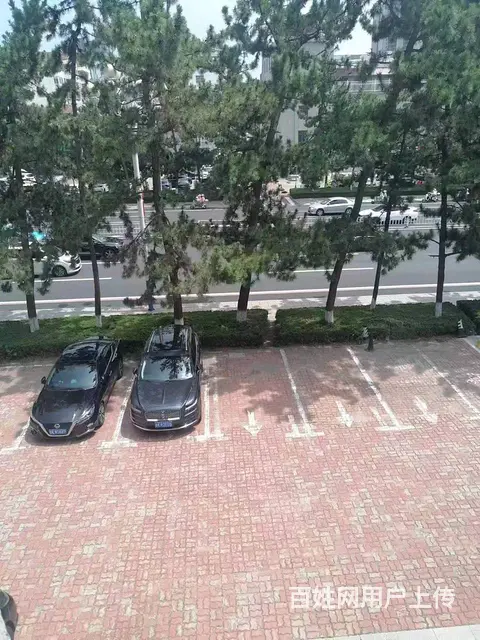 （创美）海滨路梦海小区266平临街旺铺出租 - 图片 6