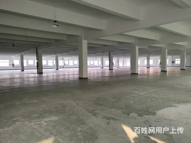 周市丙类厂房出租 - 图片 3