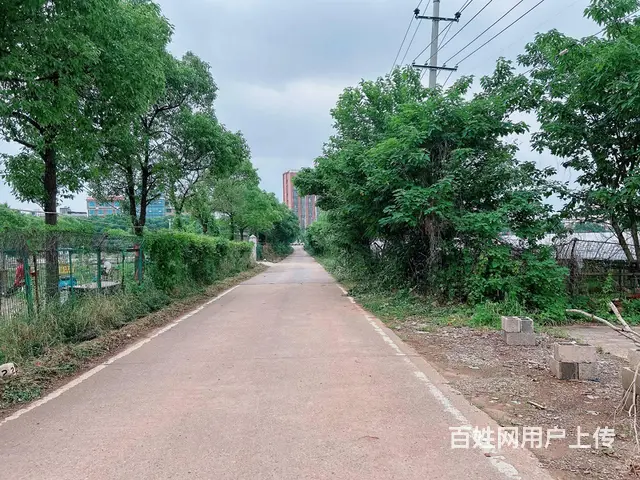 （老板本人）安沙107国道边优质厂房仓库带场地出租 6447 - 图片 9