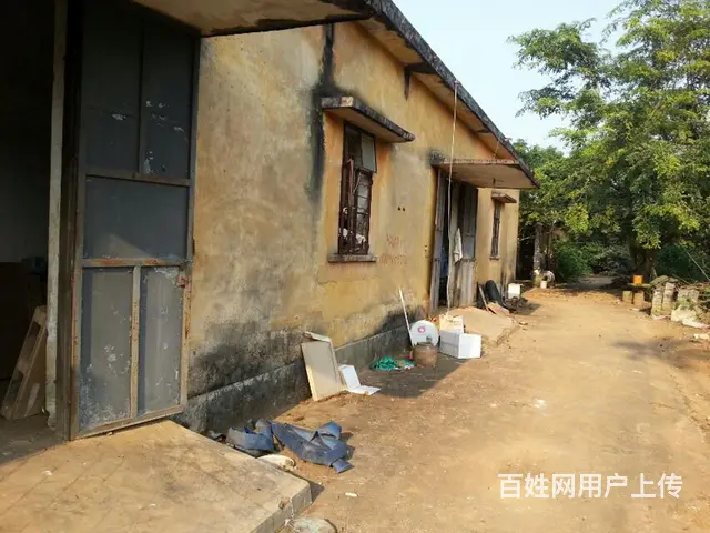 文昌新桥新桥中学对面土地仓库出租 - 图片 2
