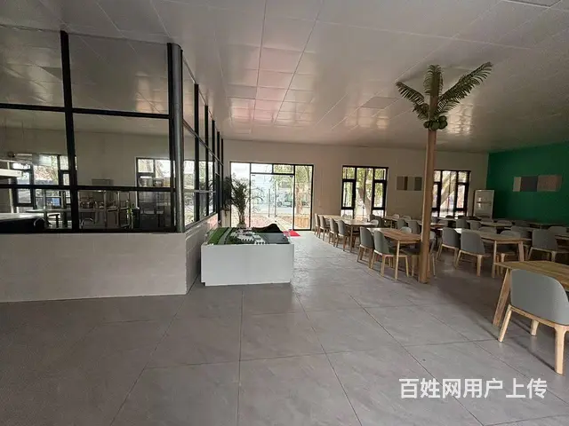 （51旺铺推荐）海棠湾藤桥283平餐厅出租也可合作 - 图片 6