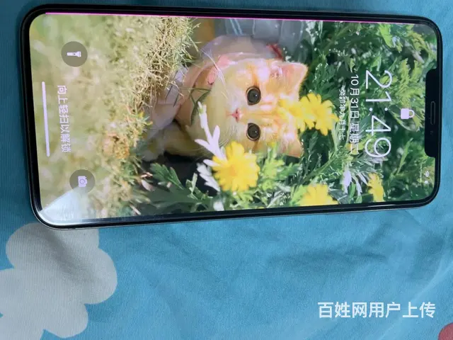 苹果X S Max。 - 图片 2
