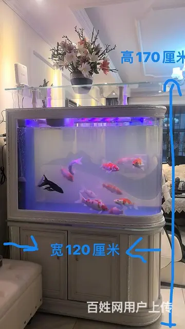 欧式鱼缸 - 图片 2